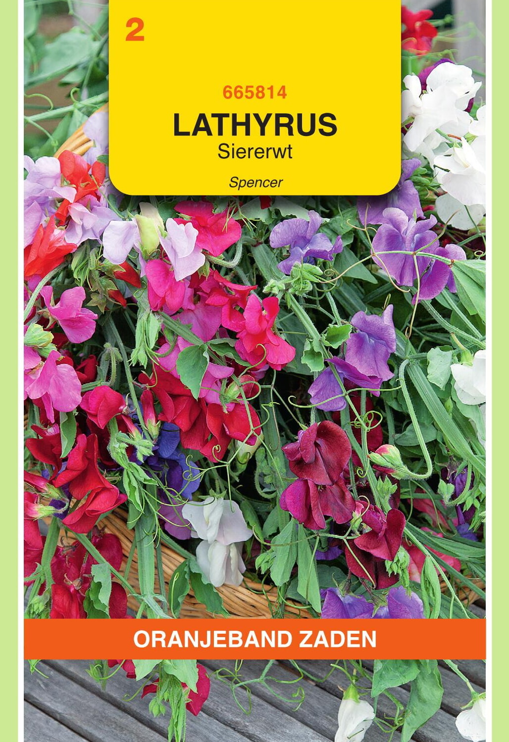 OBZ Lathyrus Reuk- Of Siererwt Zaden Spencer Gemengd