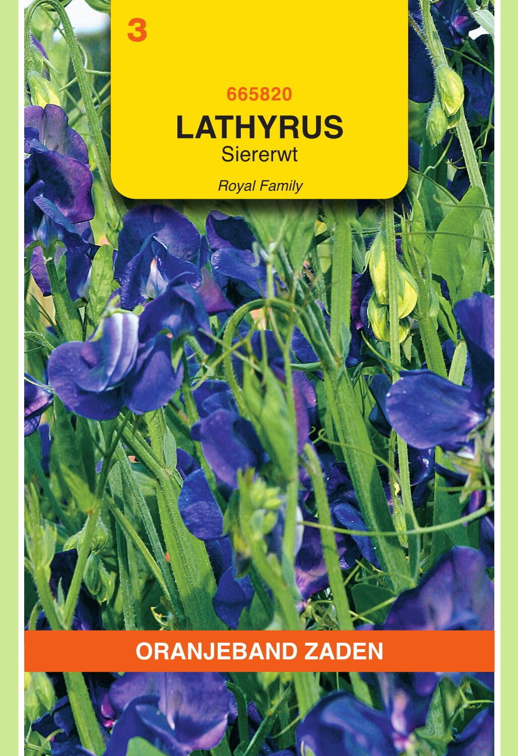 OBZ Lathyrus Reuk- Of Siererwt Zaden Royal Blauw