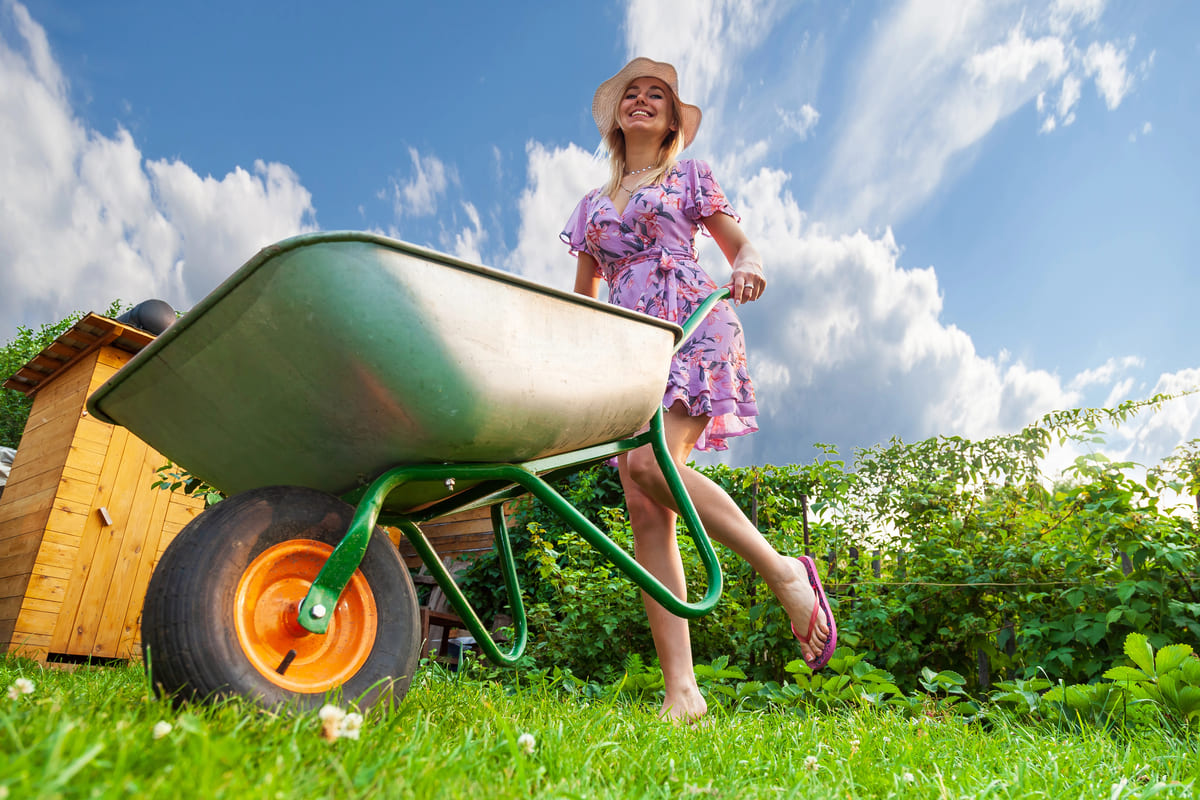 Zaaien & oogsten binnen 6 weken