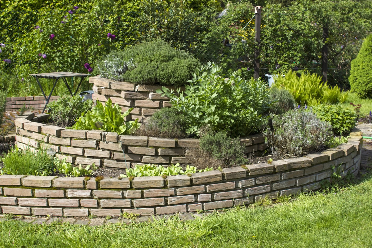 Kruiden zaaien: zo maak je je eigen kruidentuin