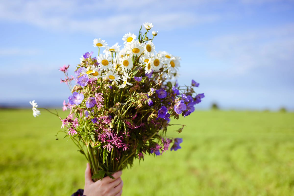 zo ziet zon landingsbaan eruit