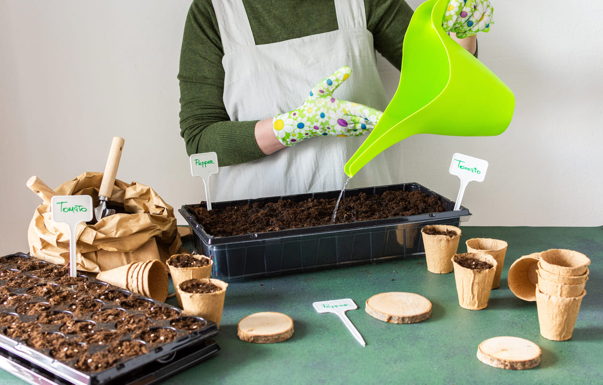 binnen kweken met een kweekpotje