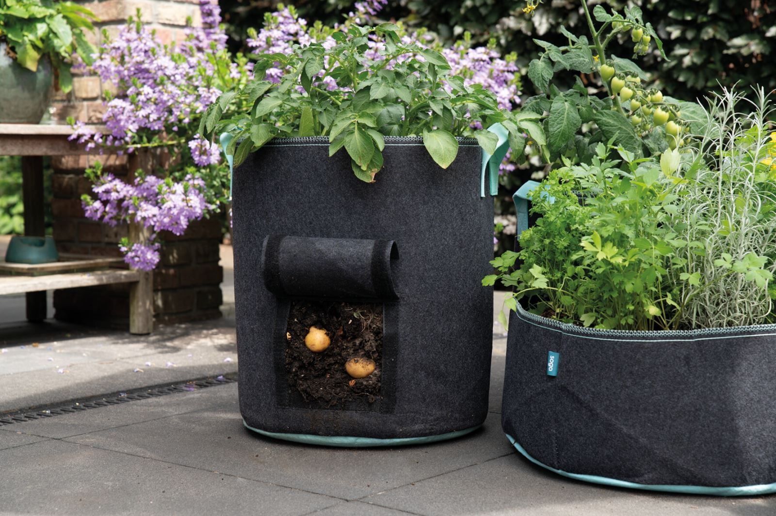 aardappelen buiten uitplanten