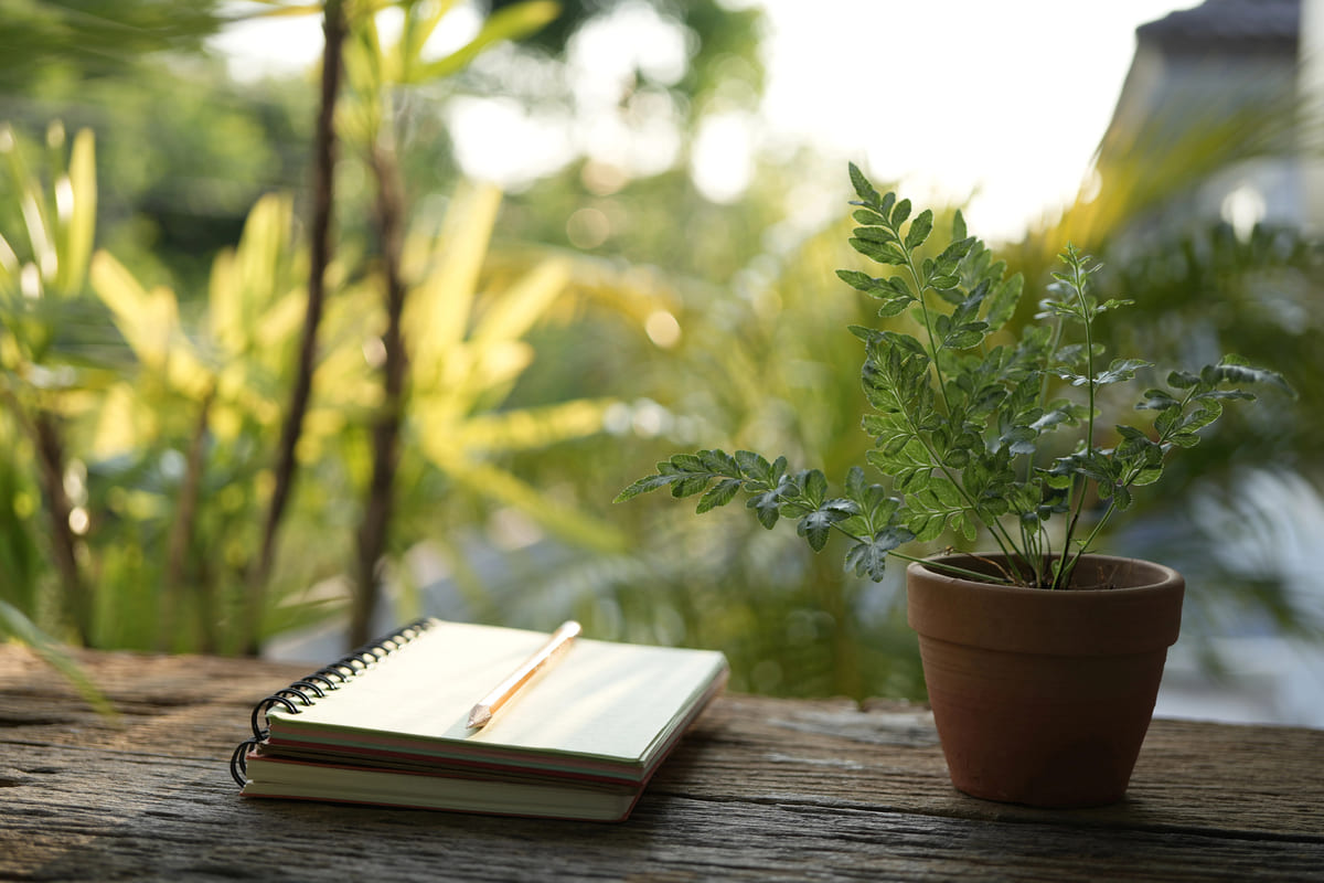 Een tuinplan maken: leuk én nuttig, zo ga je te werk!