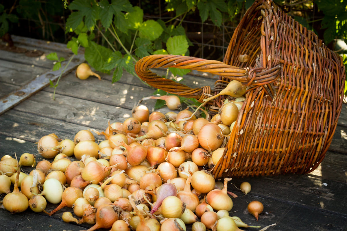 welke plek is geschikt