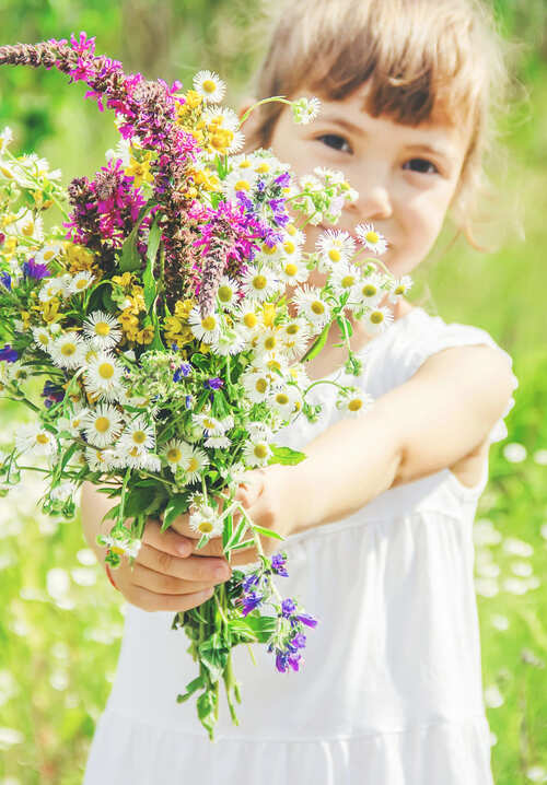 wanneer bloemen plukken