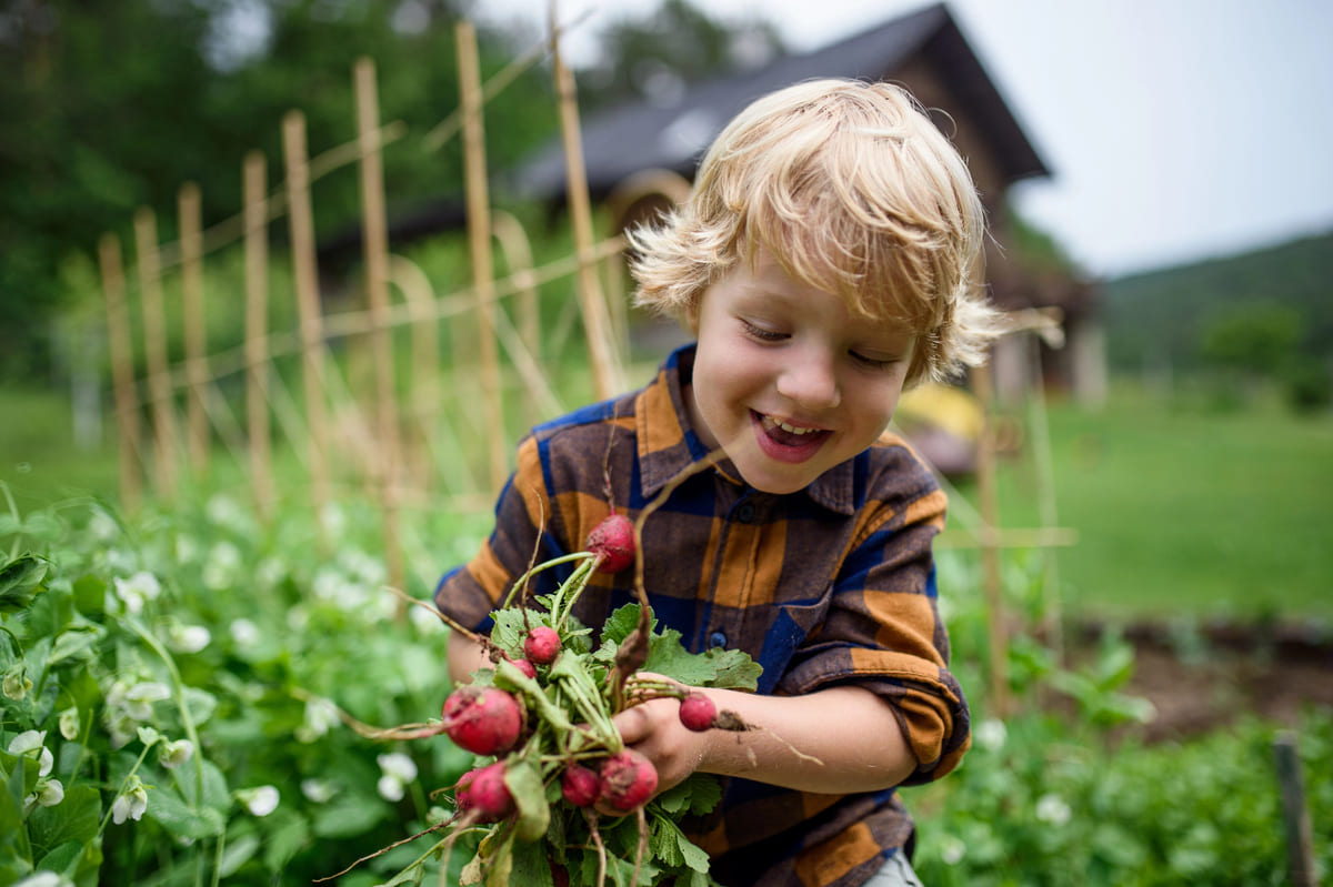 gemakkelijke groente voor kinderen