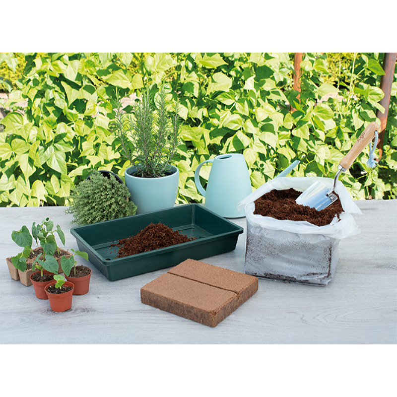 Kweekkasje: tips voor het zaaien in een kweekkasje