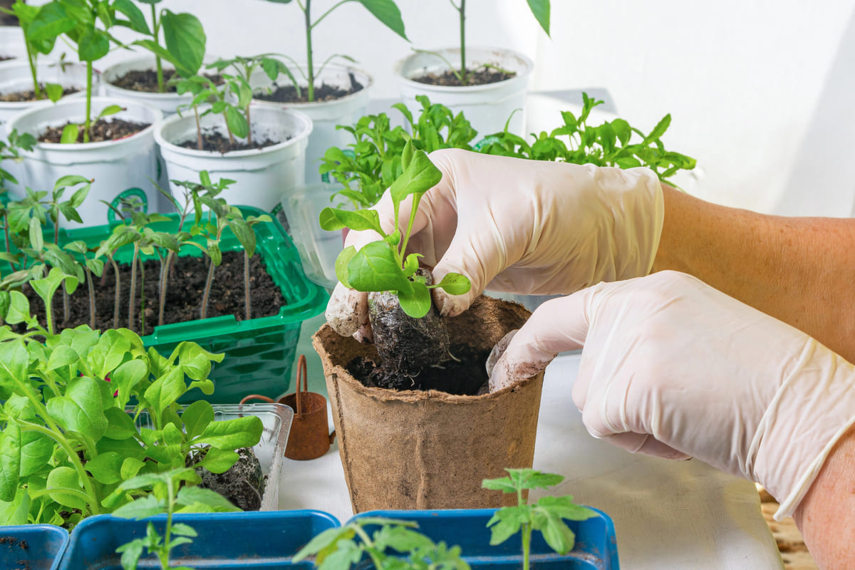 Verspenen: zo ga je te werk