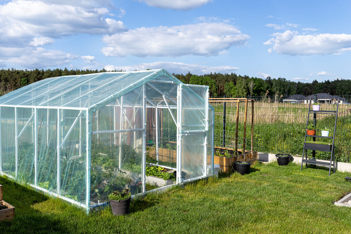 Hoe zorg je voor het juiste klimaat in de kas