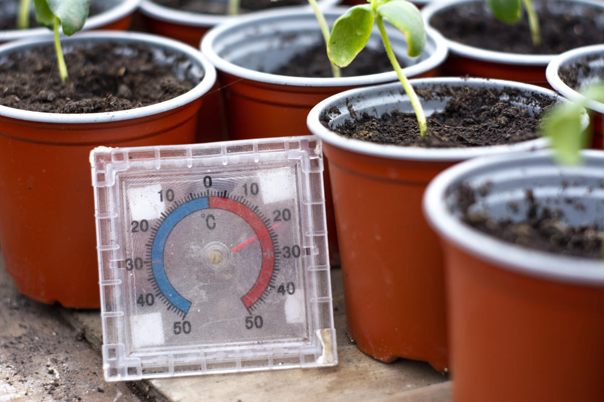 Hoe zorg je voor het juiste klimaat in de kas