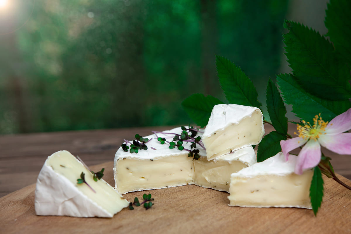 hoe kweek ik microgreens