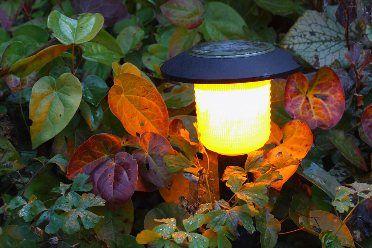 Alles over solarverlichting in de tuin