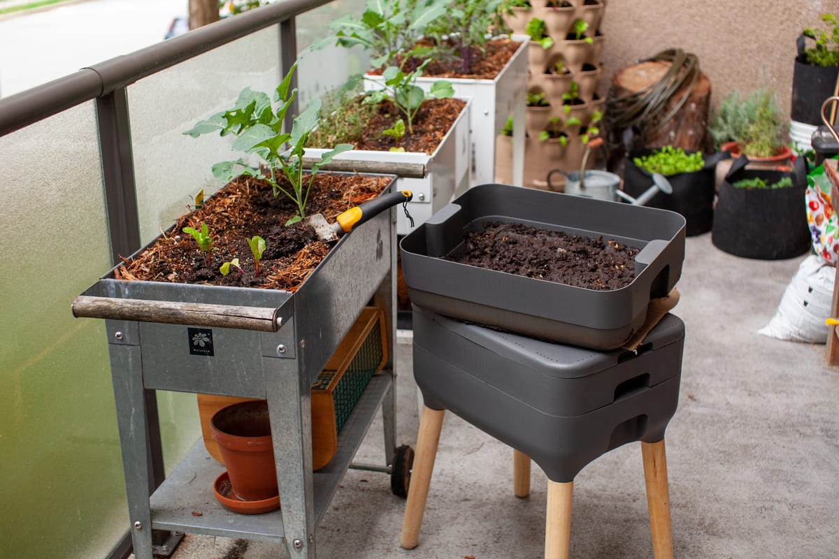 Een moestuin in potten en bakken