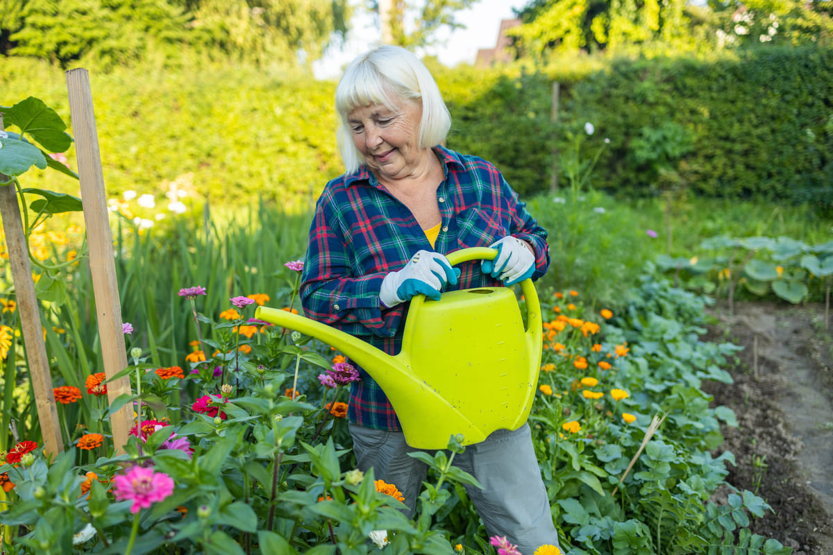 Tuinonderhoud in de zomer