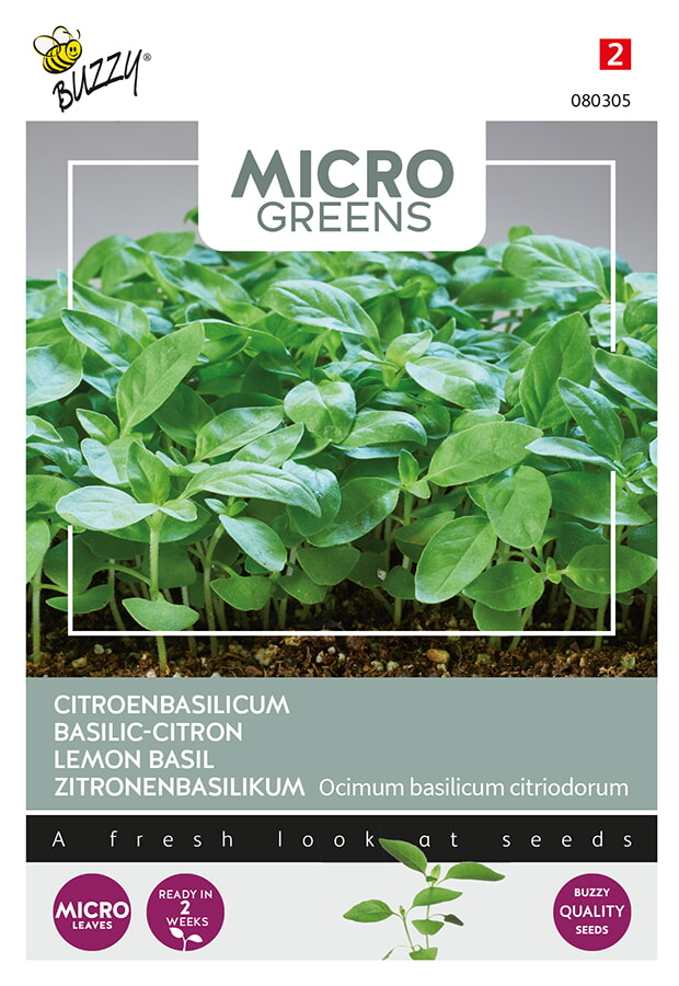Buzzy Microgreens Citroenbasilicum Zaden