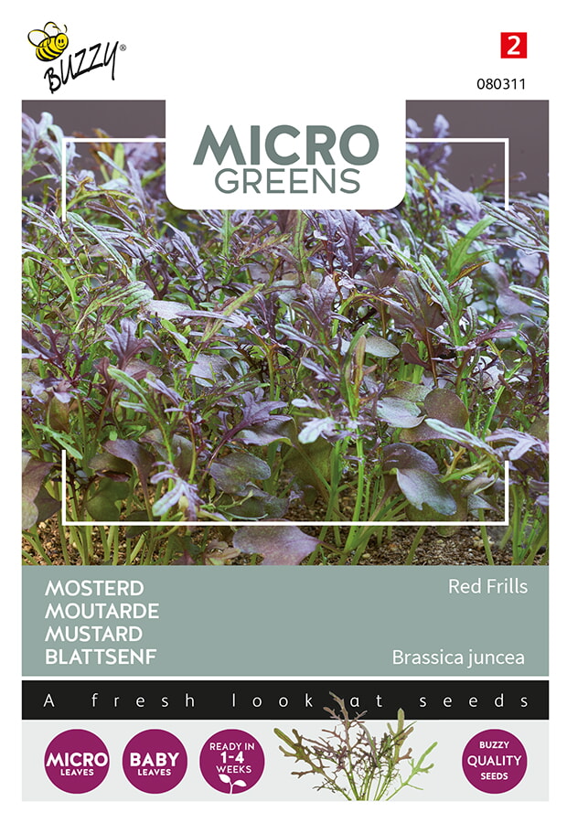 Buzzy Microgreens Mosterd Zaden Red Frills