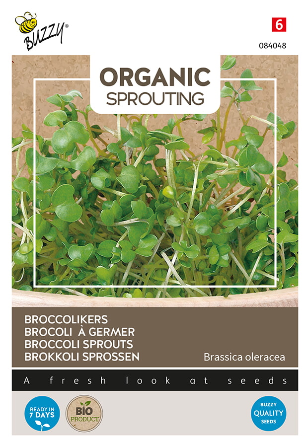 Buzzy Organic Sprouting Broccolikers Zaden