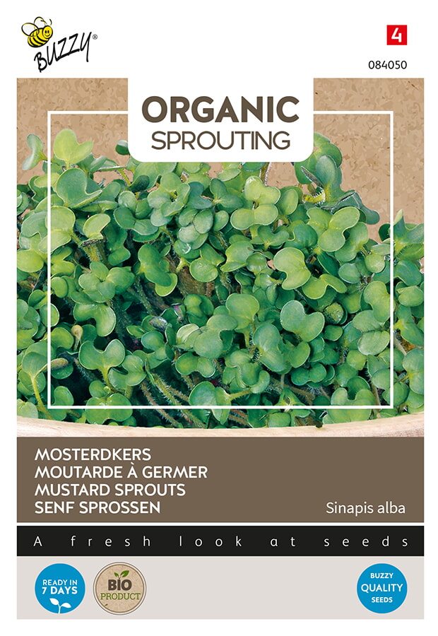 Buzzy Organic Sprouting Mosterdkers Zaden