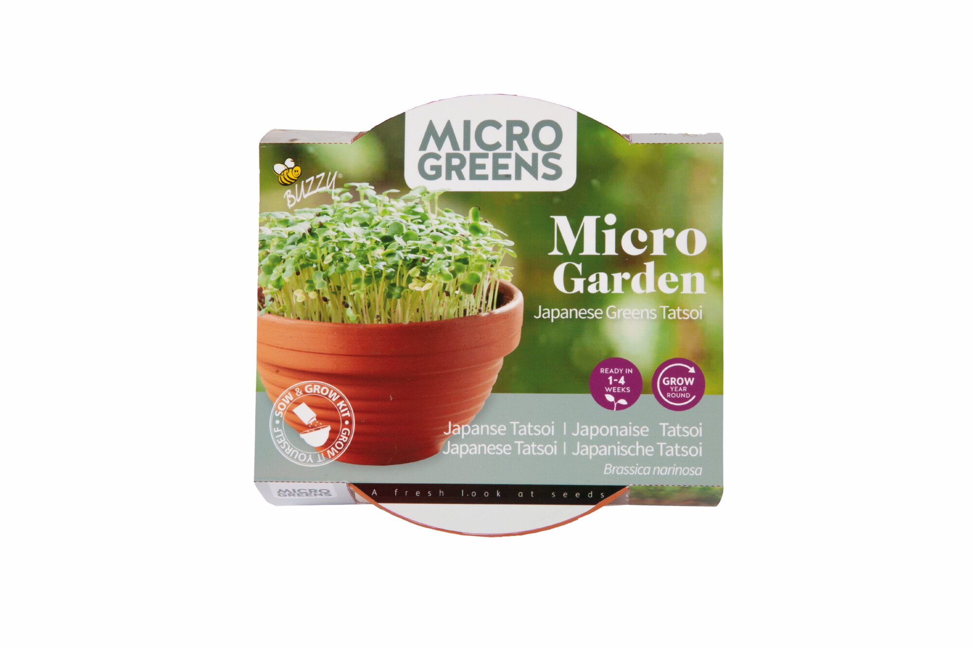 Buzzy Microgreens Terracotta Schaaltje Met Tatsoi